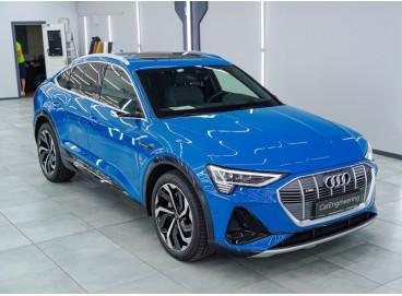 Доводчики дверей Audi E-tron